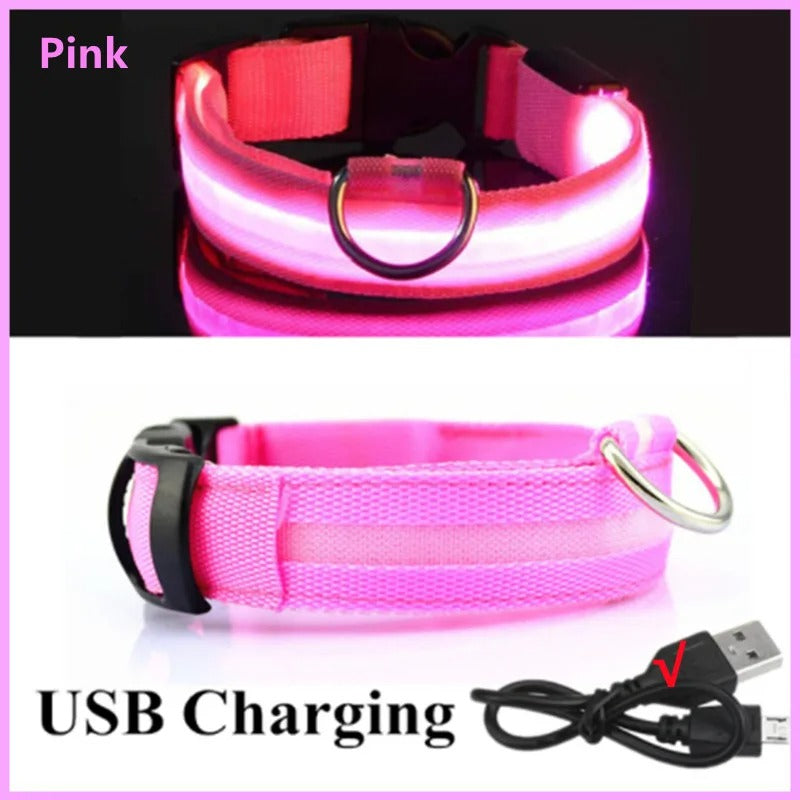 USB recharging Luminous collar for dogs in the dark