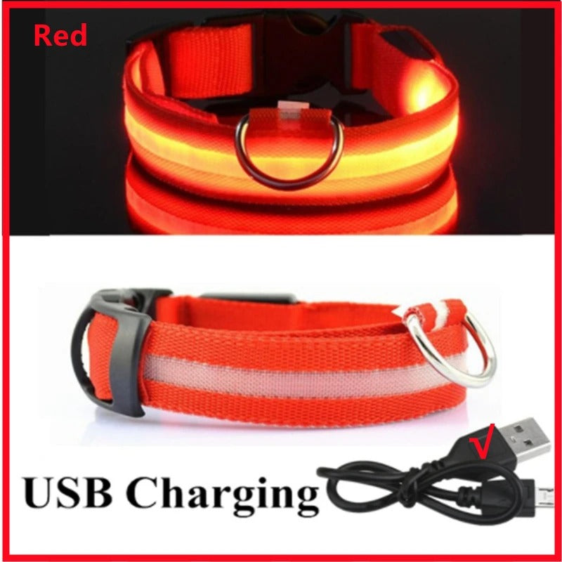 USB recharging Luminous collar for dogs in the dark