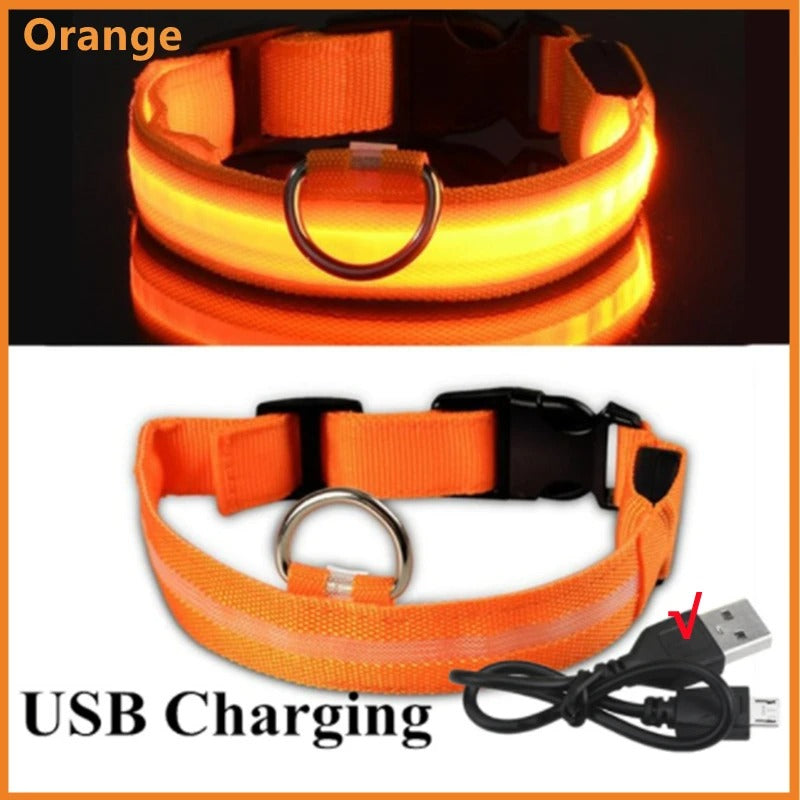 USB recharging Luminous collar for dogs in the dark