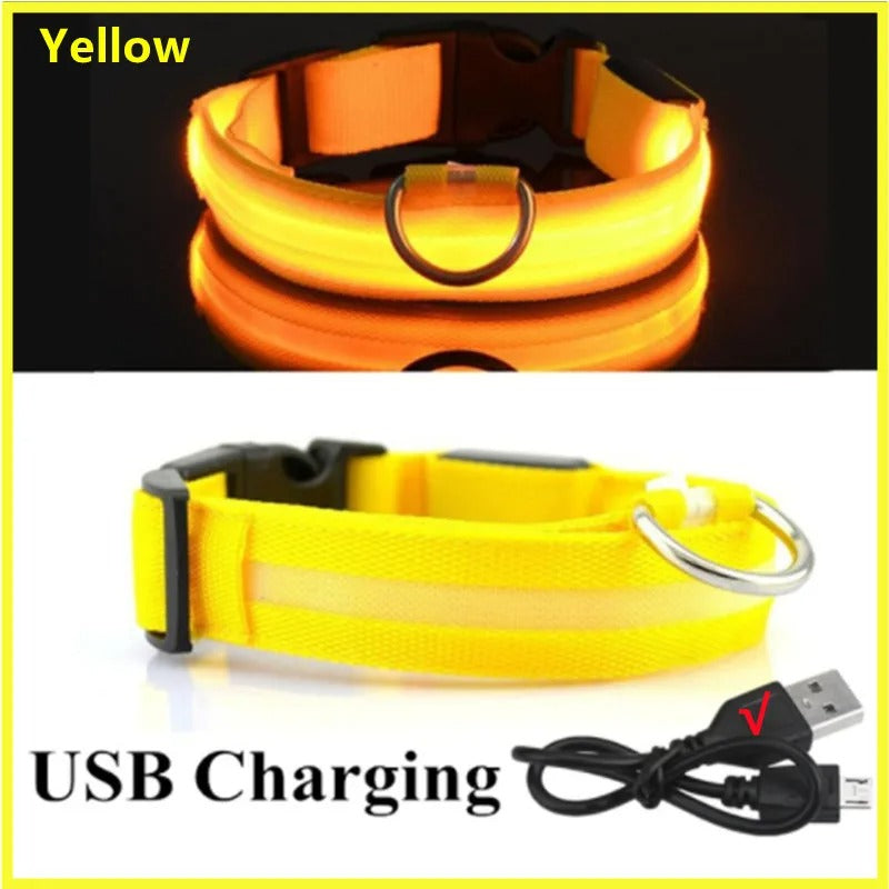 USB recharging Luminous collar for dogs in the dark