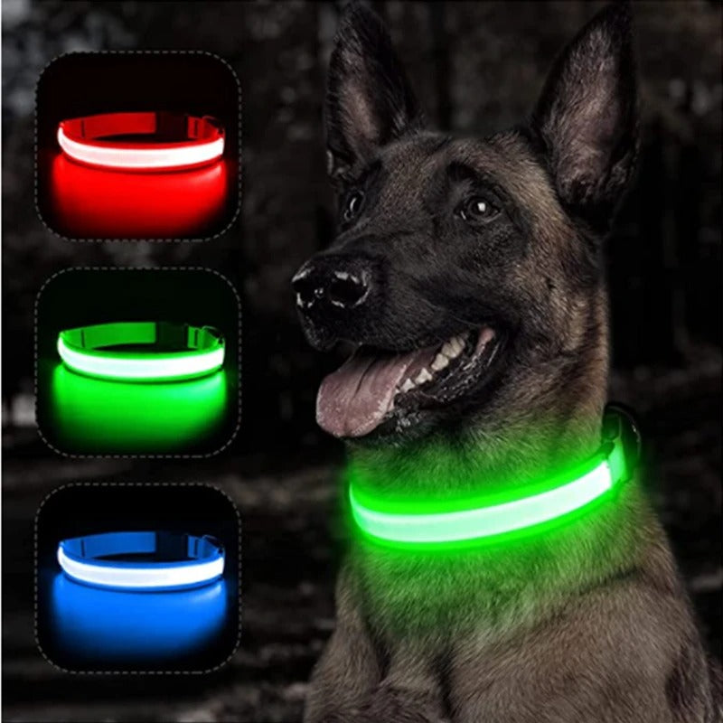 USB recharging Luminous collar for dogs in the dark