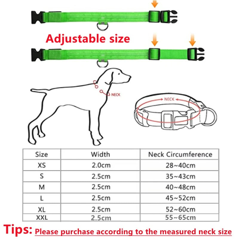 USB recharging Luminous collar for dogs in the dark