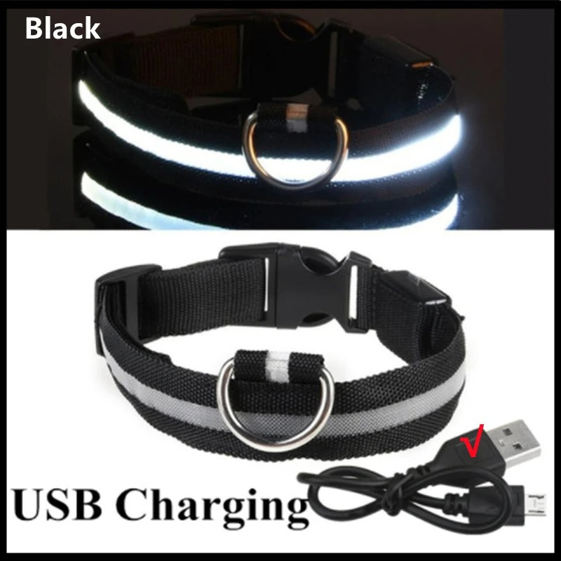 USB recharging Luminous collar for dogs in the dark