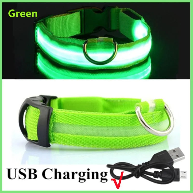 USB recharging Luminous collar for dogs in the dark