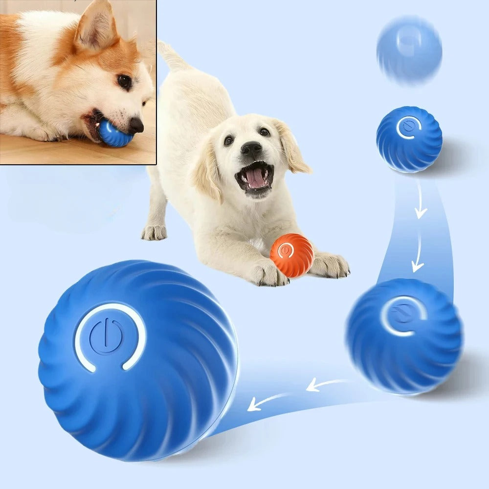 Smart Dog Ball