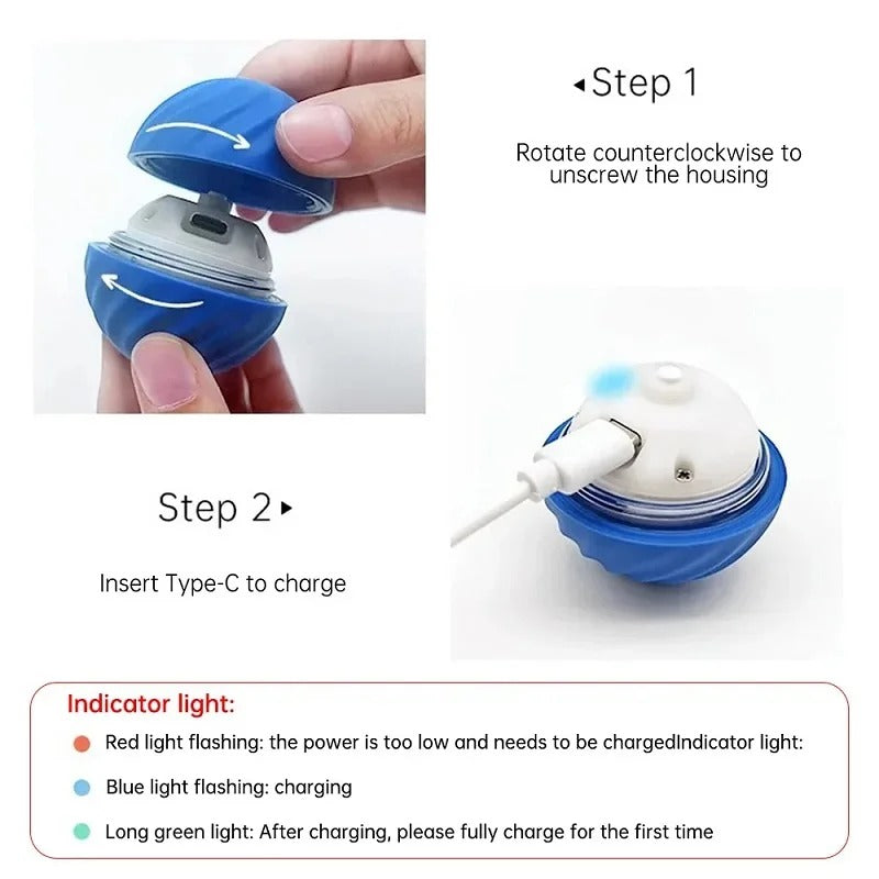 Smart Dog Ball