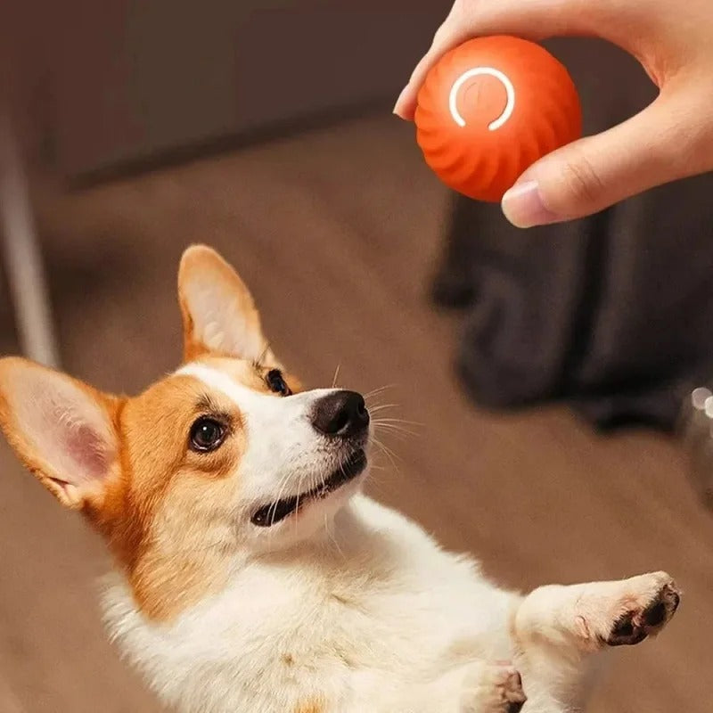Smart Dog Ball