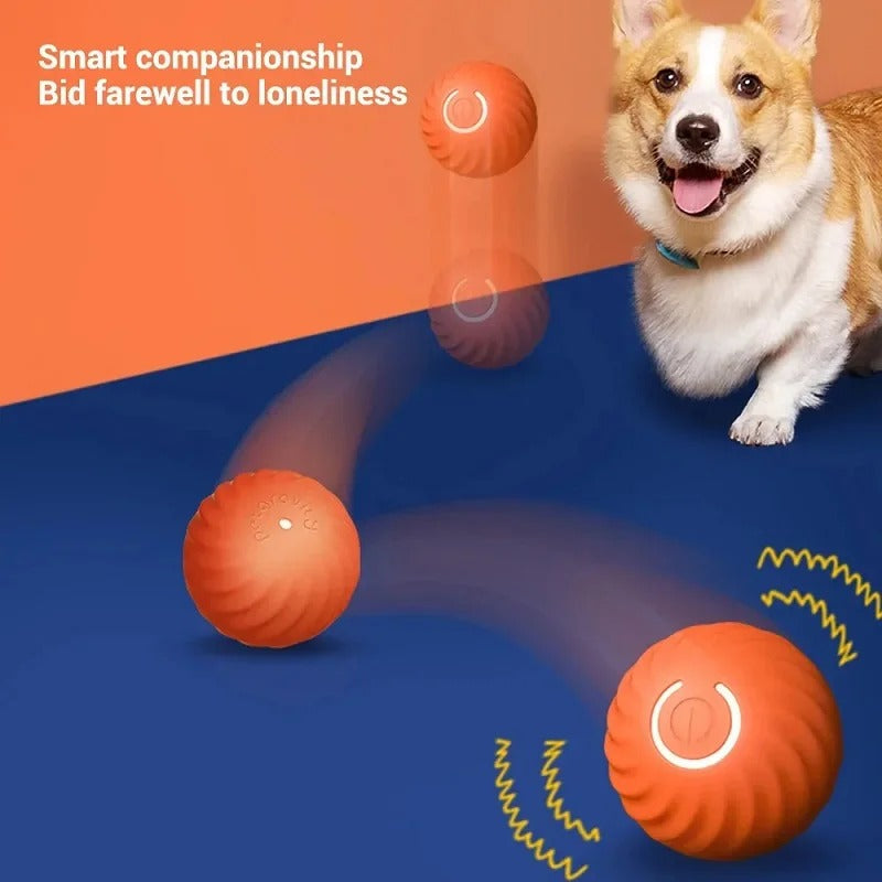 Smart Dog Ball