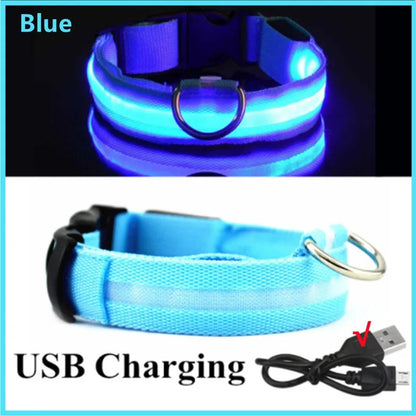 USB recharging Luminous collar for dogs in the dark