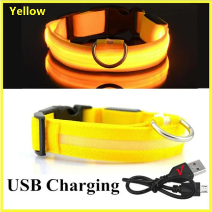 USB recharging Luminous collar for dogs in the dark