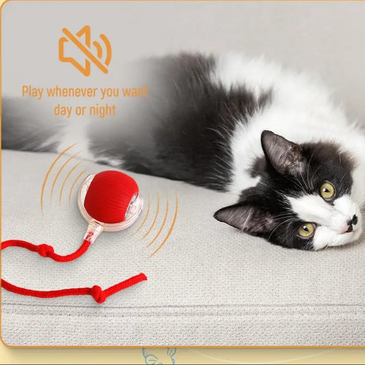 Automatic Cat Ball