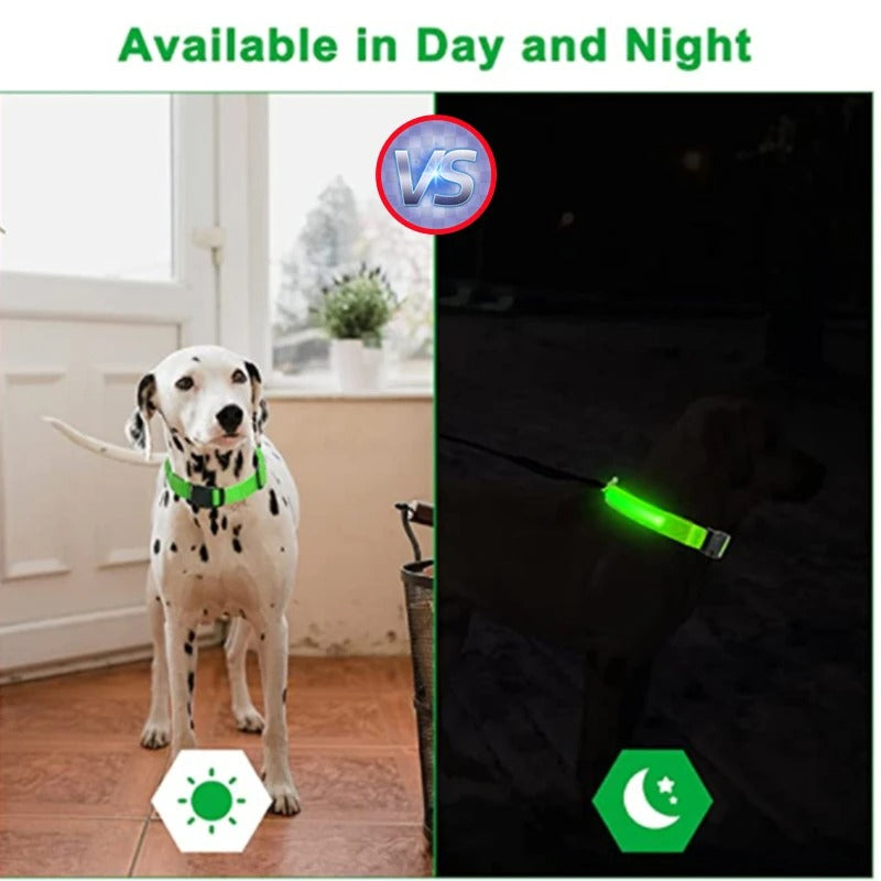 USB recharging Luminous collar for dogs in the dark