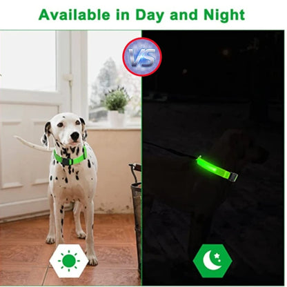 USB recharging Luminous collar for dogs in the dark
