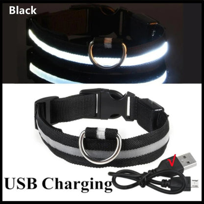 USB recharging Luminous collar for dogs in the dark