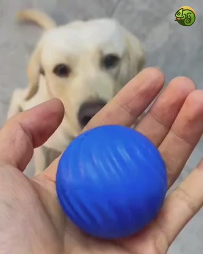Smart Dog Ball
