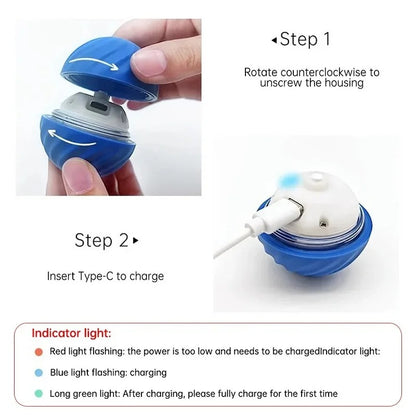 Smart Dog Ball